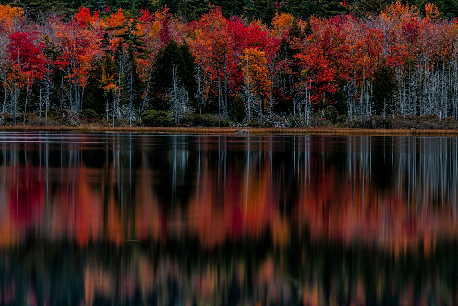 The Penobscot River near Bangor, Maine